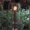 느낌이좋아 | W07. 웨딩 DVD 빈티지 느낌이 좋아 선택한 킴코더📹