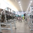 홍키통키 라이프 Daum카페
