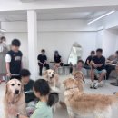 뭉스벨리 이미지