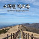 삼가-16 | 소백산 비로봉 등산 최단코스 초보 후기 (삼가주차장-셀레네족욕카페-달밭골-비로봉 코스)