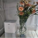 제주비전하우스 이미지