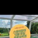 스테이 담아 이미지