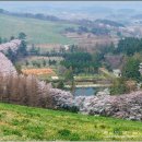 신창리경로당 이미지