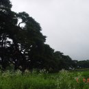 운봉읍 삼산마을 이미지