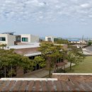 한동리브로콜리 이미지