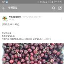 씽씽과일