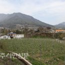 전구1리 이미지