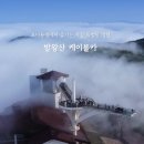 대인카프라자 이미지