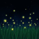 가족체험 | 무주반딧불축제 가족 체험 리얼후기 🌌