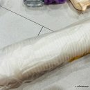 복대세탁소 | 한 달 해외여행 사전 준비 그리고 여행가방 짐싸기