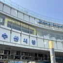 시장회수산 | 가락시장 회센터 추천 영흥수산 쭈꾸미 후기