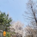 석수역 2번출구(서울방향 역사쪽) | 장지천, 성내천 벚꽃 서울둘레길 봄꽃 여행을 떠나요