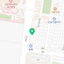 오독안심분양센터 강아지분양 고양이분양 대구점 이미지