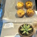 레이어커피(LAYER COFFEE) 이미지