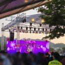 🌹2024 삼척장미축제 후기! 2025 삼척장미축제 일정도 미리 확인해보세요