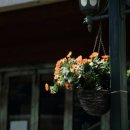 회귀(回歸) 이미지