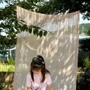 모모아트 이미지