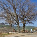 제730차 (06월21일) 셋째주 경남 남해군 설흘산(472m) 산행안내 이미지
