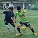 차범근 카카오 검색결과