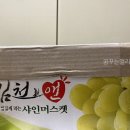 라이프룻 이미지