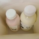 구두미바당 | 식당, 세화항구, 성산일출봉, 어니스트밀크 성산일출봉점, 식산봉, 어니스트밀크 본점, 잔잔, 바당길목)