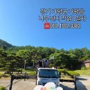 가평읍 | ⭐️경기 가평군 가평읍 나무 전지 작업｜스카이차 작업 후기⭐️