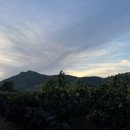 라이앤미 이미지