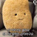 [합정 스마트인재개발원] 핵심 프로젝트 발표 준비