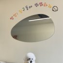 멍풀하우스 이미지