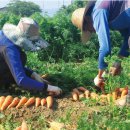 논밭상점 이미지