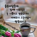 경기방 (출석부)~6월7일 (수요일)~~질경이의 효능 이미지