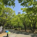 까치공원 맞은편 이미지