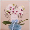 청오빌딩 이미지