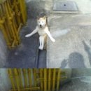 흠 이미지