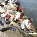 신창2리어촌체험마을 이미지