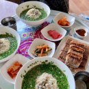 댕댕하동 이미지