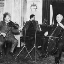 비올라 1:1 개인레슨 이미지