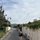 🌳2박3일 경주여행🌳 Day2 : 천마총대릉원/조르바카페/동리/첨성대/신라제면/동궁과월지/황남주택