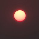 해넘이농장 이미지