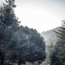/정산/03.26(목) 해남 달마산 종주 이미지