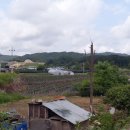 광판2리 Daum카페