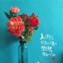 그라퍼 이미지