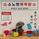 유한당구장 | 홍천 비발디파크 소노펫 방문 후기(2022.05.29~30)/서울 알로프트 강남 방문 후기(2022.05.30~31)