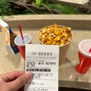 (주간)봄을 맞이하는 플로리스트(3월) | 일찍 일어나는 새가