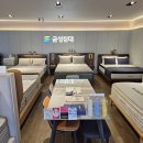 중곡동가구거리 | 중곡동 가구거리 침대 친절한 매장 금성침대 중곡점