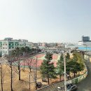 망포정직한공인중개사사무소 이미지