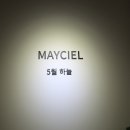 메이씨엘 - 강남구 논현로136길 3 | 메이씨엘
