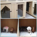 파파퍼피 DOG하우스 이미지