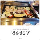 판코리아나이트클럽 | 부산 광안동 수영 양곱창골목 / 양곱창 맛집 청송양곱창 방문후기