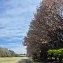 백운체력단련장 이미지